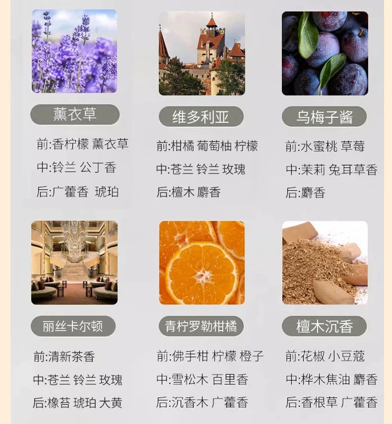 250ml/500ml Hilton Ritz Carlton Fragrance Oil For Home Perfumes Hotel Series Essential Oils For Aromatic Diffuser DIY Perfume