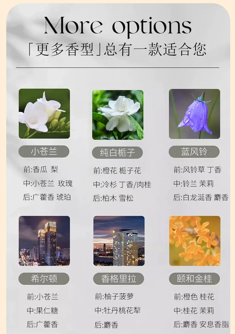 250ml/500ml Hilton Ritz Carlton Fragrance Oil For Home Perfumes Hotel Series Essential Oils For Aromatic Diffuser DIY Perfume