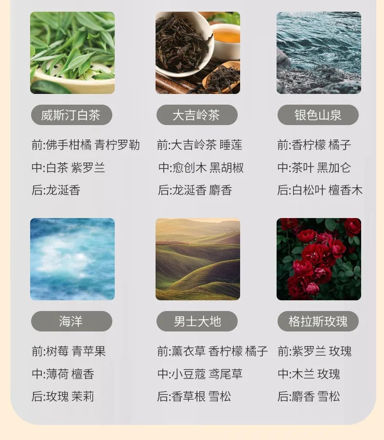 250ml/500ml Hilton Ritz Carlton Fragrance Oil For Home Perfumes Hotel Series Essential Oils For Aromatic Diffuser DIY Perfume